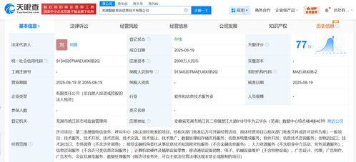 华为在芜湖设立信息技术公司，聚焦技术咨询与数字化转型